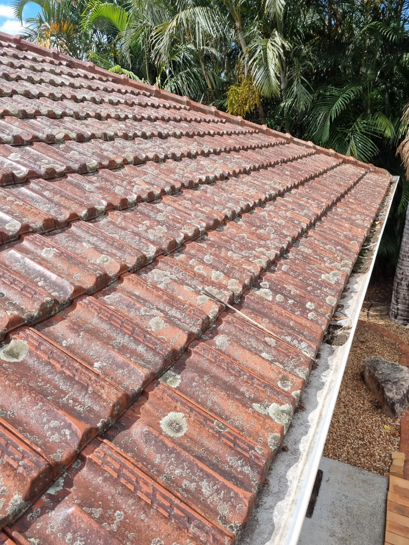 Tile Roof β Springwood β before